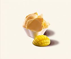 FLASH MANGO – najhitrejši mangov sladoled